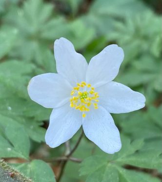 Counsellor in Guildford